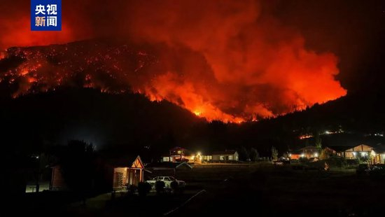 ����͢�в�ɭ�ֻ������� ���������5500��