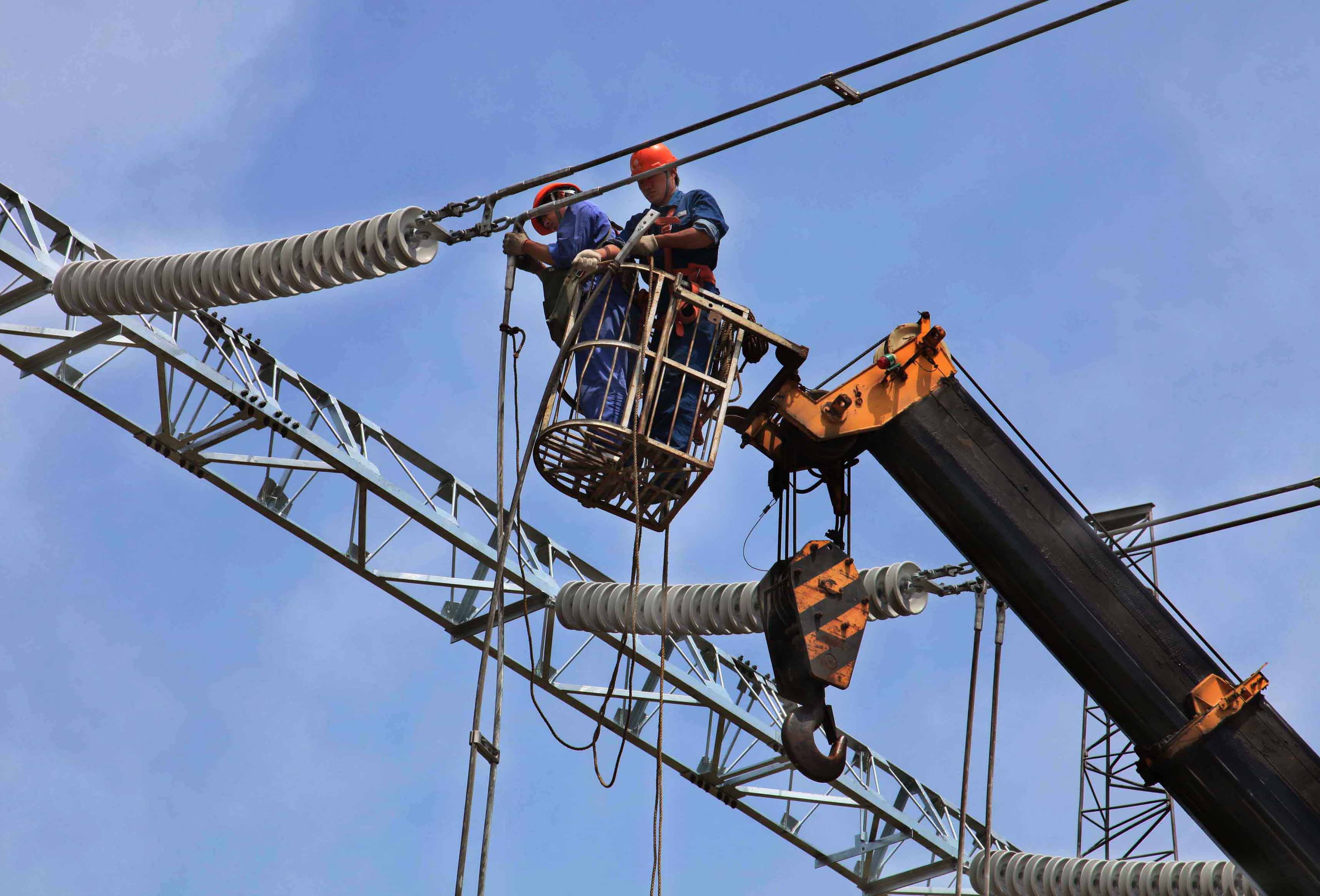 全球头条:中国料于2016年首次成为全球最大猪肉